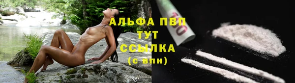стаф Белокуриха