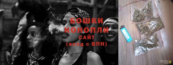 стаф Белокуриха