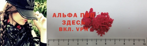 стаф Белокуриха