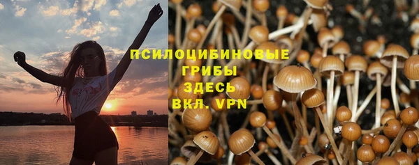 стаф Белокуриха