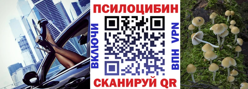 Псилоцибиновые грибы мицелий  Нестеровская 